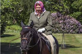 Eduardo nantes bolsonaro (born 10 july 1984) is a brazilian politician, lawyer and federal police officer. Die Queen Hat Ein Nettes Pferd Und Einen Gestutzten Park Gluckliche Briten Stuttgarter Zeitung