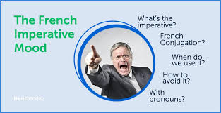 Imperative (comparative more imperative, superlative most imperative). Understanding French Imperative