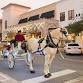 Holiday Horse-Drawn Carriage Rides in December event image