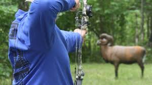 Targeting young shooters