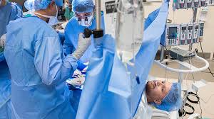 Image result for Transplantation