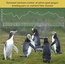 Population And Trends Of Yellow Eyed Penguins In New Zealand