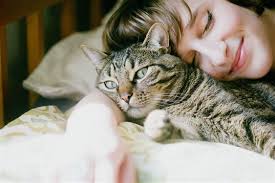 sohati هل انفلونزا القطط معدي