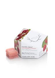 cbd infusion gummy apple