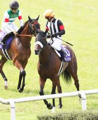Curren bouquetd'or) 1 は、日本の競走馬。馬名の意味は「冠名＋黄金の花束（仏）。勝利の大輪を咲かせてほしい」 2 戦績 2歳（2018年） 美浦 ・国枝栄厩舎に入厩し、2018年10月8日東京1800mの新馬戦. 8zuguzhnlbtbmm