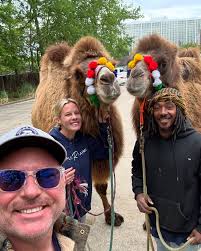 Petra Cafe Greek & Mediterranean Hattiesburg