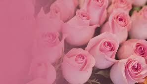 Envoyer et commander une salutation florale pour chaque occasion est facile et rapide chez topfleurs. Livraison De Fleurs Au Maroc 7j Sur 7 Des 195dhs 18 20