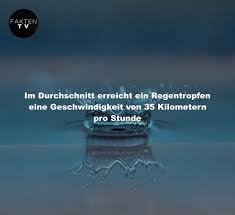 Taglich Neue Fakten Regen Regentropfen Tropfen Regenjacke Regenbogen Kmh Fakten Faktentv Faktenbilder Wissen Fa Fakten Regentropfen Tropfen