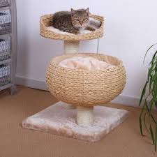 Cat Playground Panosundaki Pin