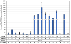 Metabolic engineering of Escherichia coli for optimized biosynthesis of  nicotinamide mononucleotide, a noncanonical redox cofactor