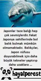 Beyin Kopekbaligi Japon Tazebalik Hayalperest Hikaye Ilginchikaye Balikci Canli Sersem Nufus Japonya Japonya Komik Fikralar Ilahm Veren Alintilar