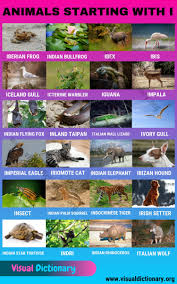 Please share it along to friends you if this site is useful for many people. Animals That Start With I 24 Interesting Animals Starting With I Visual Dictionary