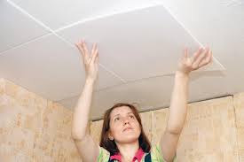 In addition, the ceiling tiles can be removed without damage to the system so that above ceiling items can be maintained. 7 Drop Ceiling Alternatives Home Stratosphere