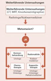 Metastasierender Prostatakrebs Therapieformen Meine Prostata De