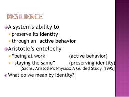 Antifragility Elasticity Resilience Machine Learning Models An Machine Learning Resilience Language Vocabulary