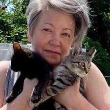 Edit: Trying to prevent transmission to my personal cats after handling a  sick stray kitty that passed away. Surfaces will be disinfected and clothes  washed. After handling a cat possibly with this