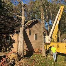 Maybe you would like to learn more about one of these? Tree Services Climax Nc