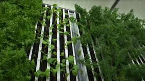 14662 moneta rd (2,120.83 mi) moneta, va, va 24121. New Moneta Farm Redefines Method Of Growing Fresh Produce