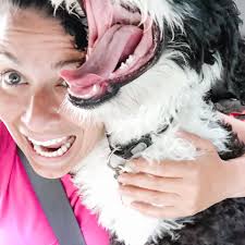 Sharp puppy teeth (aka alligator teeth)😂🐊