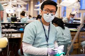 It is the chance of a lifetime': Internationally trained dentists ...