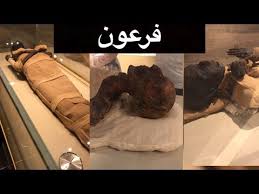 شغل الكثيرون معرفة ماهية فرعون موسى واختلفت الاراء واختلف الزمن الذي رجح وجود سيدنا موسى عليه السلام فيه ومن ثم وجود فرعون وأورد المفسرون ان من بني إسرائيل من كذب موت فرعون معتقدين أنه لا يصيبه ما يصيب البشر من الحتف والموت. Ù…ÙˆÙ…ÙŠØ§Ø¡ ÙØ±Ø¹ÙˆÙ† Ù…ØµØ± Ù…Ø´Ø§Ù‡Ø¯Ø© Ø§Ù„ÙÙŠÙ„Ù… Ø¹Ù„Ù‰ Ø§Ù„Ø¥Ù†ØªØ±Ù†Øª