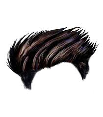 Wedding Updos Vintage 2020 In 2020 Hair Png Download Hair Photoshop Backgrounds