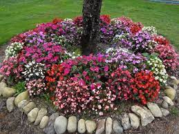 Here Is Our Wax Begonias And Bounce Impatiens That Were Planted In Spring 2015 Look How Great They Still Look In O Easy To Grow Flowers Growing Flowers Plants