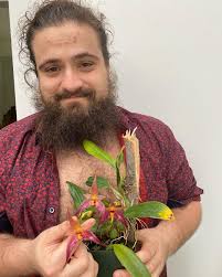 Image result for Bulbophyllum X chikukwa