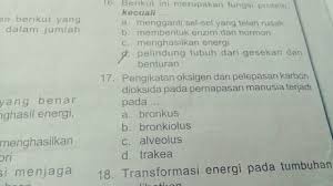 Brush my teeth and 5. Apa Jawaban Nya Nomor 17 Brainly Co Id