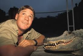Pin On Crikey