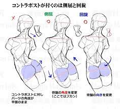 Compare below our original model, with muscles muted to show the lines better, and a more average figure where only a few still show, with the shoulder blades more prominent than the back muscles. Female Back Anatomy Tutorial Art Reference Poses Anatomy Drawing