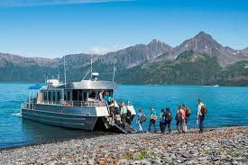 We did not find results for: The Best Kenai Fjords National Park Camping Of 2021 With Prices Tripadvisor