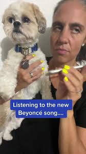 Dog Sunglass Dance Lovin