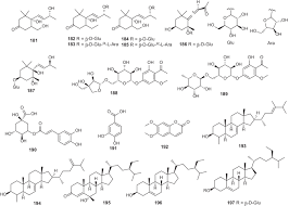 Image result for Erythroxylum emarginatum