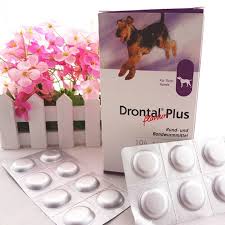 What is drontal® plus for dogs? Bayer Drontal Plus Fur Hund 104 Tabletten Bandwurm Dewormer Fur Hunde Buy Bayer Drontal Plus Flavour Fur Hunde Bayer Drontal Plus Dewormer Drontal Plus Fur Hunde Product On Alibaba Com