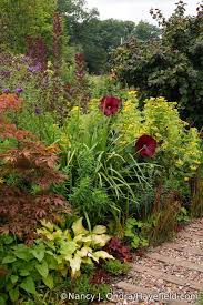In The Front Garden Highlights From Lower Left Sun Power Hosta Japanese Maple Acer Palmatum Heartthrob H Smoke Bush Charming Garden Gorgeous Gardens