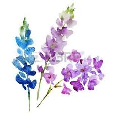 Disegni Fiori Acquerello Fiori Viola Disegno Di Fiori Rosa Acquerello