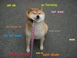 Find the newest shiba inu meme. Very Doge Such Impress Much Effort Wow Dog Memes Animals Doge Meme