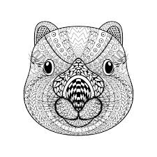Simple animal mandala coloring pages. Coloring Pages For Adults Print Them For Free