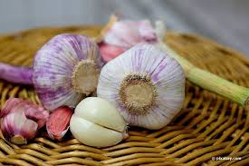 Mehltau Behandeln 8 Naturliche Hausmittel