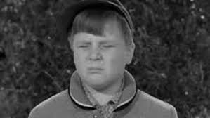 Leave It to Beaver season 2 The Haunted House Reviews