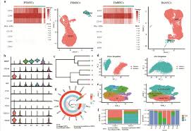 Bioinformatics Data Analysis Dashboard showing genomic variants and expression heatmaps