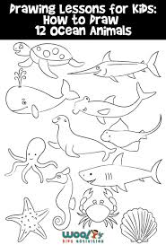 Animal drawings are the first recorded subject matter in the history of art. How To Draw For Kids 12 Ocean Animals To Draw Step By Step Woo Jr Kids Activities