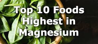 top 10 foods highest in magnesium