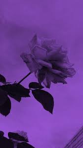 75 981 tykkäystä · 61 puhuu tästä. Wallpaper Pastel Purple Aesthetic Flowers Hd Wallpaper