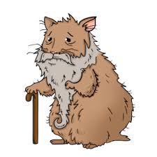 Maybe you would like to learn more about one of these? How Long Do Hamsters Live What Is The Average Lifespan Of A Hamster