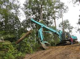 Have you found the page useful? Project Activity Information Itto The International Tropical Timber Organization