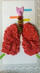 Pin On Human Body Activities For Kids