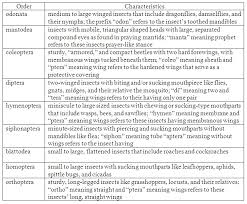 61 Meticulous Phylum Arthropoda Characteristics Chart
