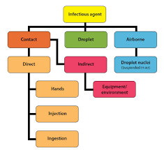 Australian Guidelines For The Prevention And Control Of Infection In Healthcare 2010 Nhmrc